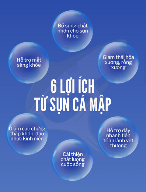 Sụn Cá Mập - Shark Cartilage 520 Tablets | Mua 5 Tặng 5 [FINEJ09]